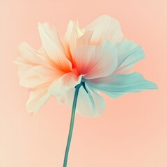 Fototapete - Beautiful floral composition with soft pastel colors and delicate petals against a pink background. Generative AI