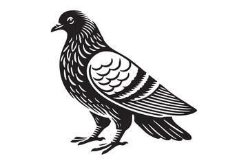 pigeon silhouette
