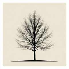 Aufkleber - Majestic leafless tree standing alone against a neutral background highlighting its intricate branches and silhouette. Generative AI