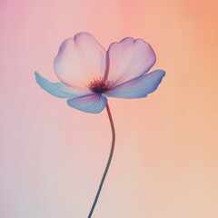 Poster - Beautiful delicate flower against a soft pastel background during a serene evening. Generative AI