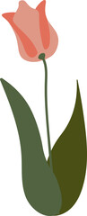 Wall Mural - tulip flower handdrawn