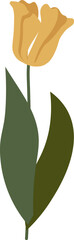Wall Mural - tulip flower handdrawn