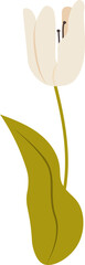 Wall Mural - tulip flower handdrawn