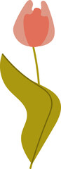 Wall Mural - tulip flower handdrawn