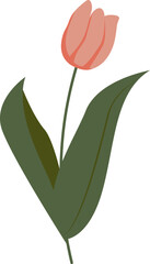 Wall Mural - tulip flower handdrawn