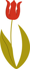 Wall Mural - tulip flower handdrawn