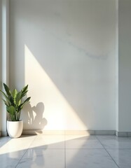 Aufkleber - Empty modern interior with sunlight casts shadows on white wall, floor. Plant in white pot stands next to window. Minimalist design with natural light, simple lines. Suitable for products design