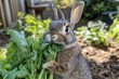 © Grace - Fluffy Rabbit Enjoys Fresh Greens in a Sunny Garden Surrounded by Vibrant Plants. Generative AI