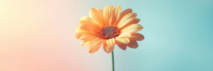 Leinwandbilder - Bright yellow flower stands tall against a soft pastel background during a tranquil afternoon. Generative AI