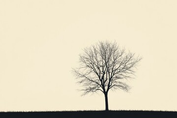 Aufkleber - Silhouette of a lonely tree against a pale sky in a minimalist landscape during early morning hours. Generative AI