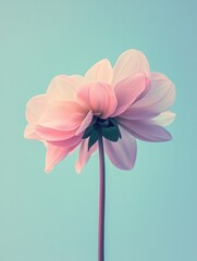 Poster - Soft pink flower standing tall against a pale blue background during daylight. Generative AI