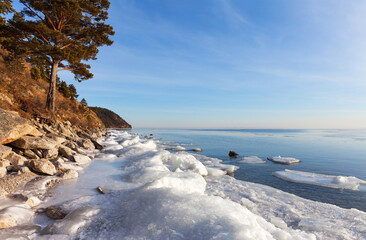 Wall Mural - Baikal Lake in January. Beautiful landscape with pine trees on the rocky shore and white ice floes during freeze-up on a sunny frosty day. Winter natural background. Changing seasons, environment