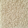 © Rattana - Soft beige carpet providing comfort and warmth.