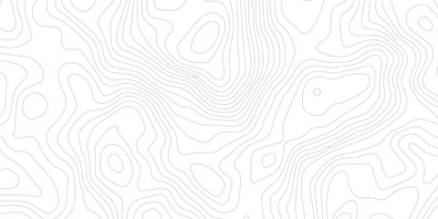 Poster - Abstract Topographic Pattern Banner Background, geographic line map with elevation assignments. Modern design background with wavy pattern. Paper texture Imitation of a geographical map shades.