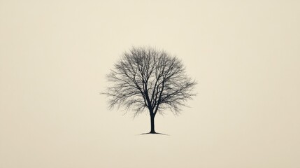 Poster - Solitary bare tree in a minimalistic winter landscape with soft, muted colors during a cloudy day. Generative AI