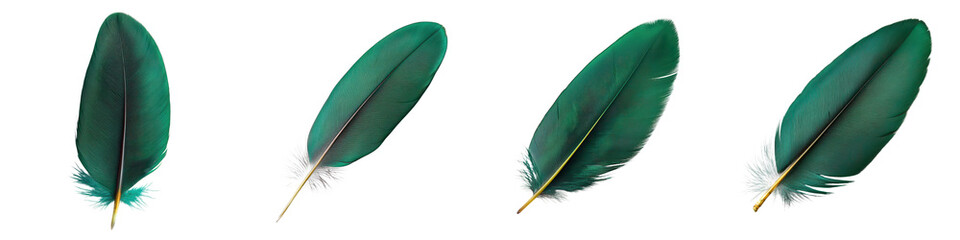 Elegant green tropical feathers on a plain white backdrop perfect for a variety of trendy design needs such as lifestyle fashion editorial or concepts