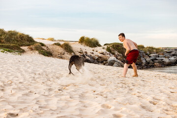 Boy playing with Greyhound dog on the beach on the Gold Coast