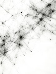 Leinwandbilder - Abstract black and white design with interconnected lines and points creating a modern aesthetic in a minimalistic style. Generative AI