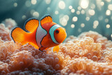 A vibrant orange clownfish in its anemone home