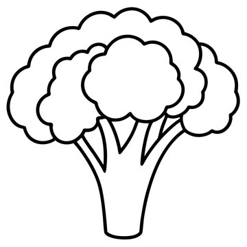 Broccoli Line Art with Modern Style