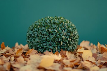 Canvas Print - Pile of Leaves with Leaf