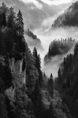 Wall Mural - Foggy Mountain Landscape
