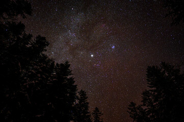 Wall Mural - dark sky full of stars over the forest. bieszczady mountains, carpathians, poland.