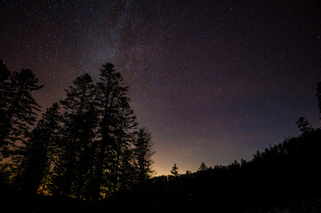Wall Mural - dark sky full of stars over the forest. bieszczady mountains, carpathians, poland.
