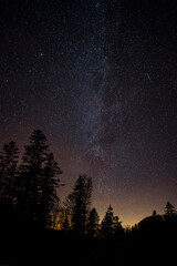 Wall Mural - dark sky full of stars over the forest. bieszczady mountains, carpathians, poland.