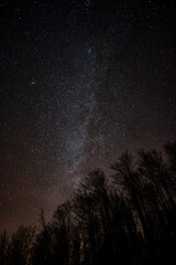 Wall Mural - dark sky full of stars over the forest. bieszczady mountains, carpathians, poland.