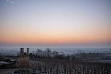 Wall Mural - sunrise over the vineyards