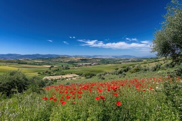 Aufkleber - Vibrant red poppies bloom in a picturesque landscape under a clear blue sky in the countryside. Generative AI