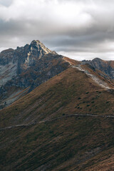 Wall Mural - Dramatic Mountain Landscape Under Cloudy Sky