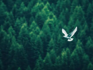 Poster - Majestic Bird Soaring Above Lush Green Forest Canopy Surrounded by Towering Trees Underneath a Bright Blue Sky in a Peaceful Natural Landscape