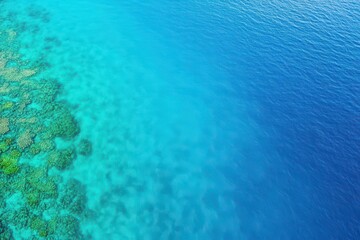 Poster - Vibrant Coral Reefs Underneath Crystal Clear Turquoise Waters with Sunlight Filtering Through Creating a Stunning Marine Ecosystem and Serenity