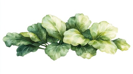 Poster - Watercolor painting of lush green leaves, isolated on white background.