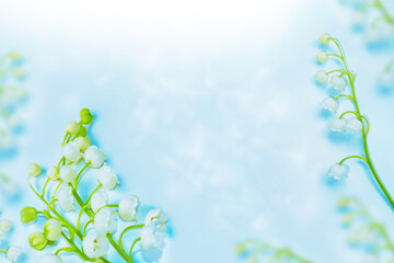 Wall Mural - flowers lily of the valley on a light background.