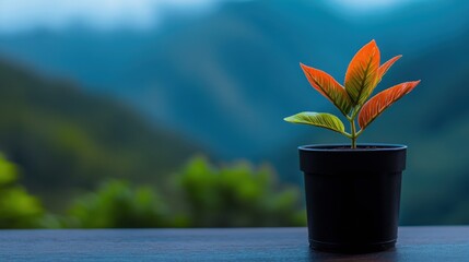 Serene Mountain View with Vibrant Plant in Pot