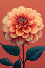 Wall Mural - A Peach Colored Dahlia Flower with Dark Green Leaves