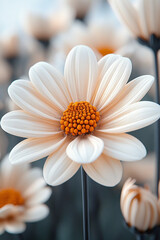 Wall Mural - Single Cream Colored Daisy Flower In Bloom