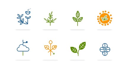 Leinwandbilder - Collection of 6 linear and minimalist icons depicting key botanical and natural science concepts such as ecosystem pollination leaf patterns