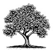 © Pawellpi Design - Detailed black and white illustration of a mature tree showcasing intricate leaves and sturdy trunk in natural setting. Generative AI