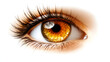 © IA Tuga - Detailed macro photo of an eye with long eyelashes
