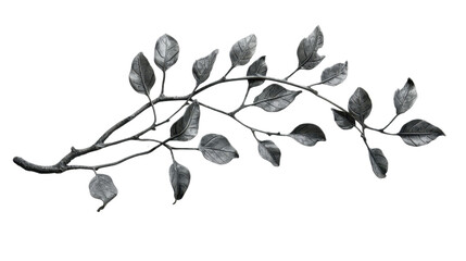 tree branch with leaves on transparent background