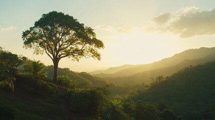 Poster - A solitary tree stands tall in the heart of a dense jungle, surrounded by vibrant greenery and bathed in warm sunlight against a mountainous backdrop