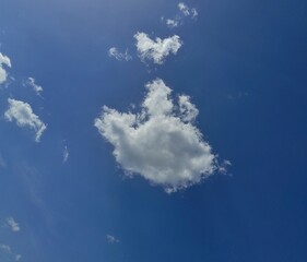 Wall Mural - photo of single cloud in the sky.