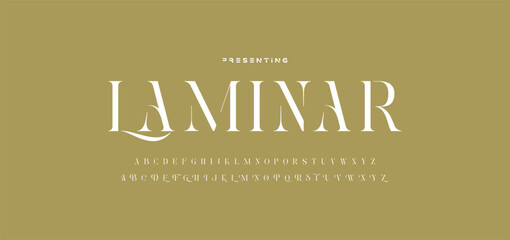 Poster - Luxury wedding alphabet letters font with tails. Typography elegant classic serif fonts and number decorative vintage retro concept for logo branding. vector illustration