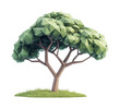 © Mark - Low poly tree design featuring geometric leaves nature setting model outdoor environment artistic viewpoint modern concept isolated on transparent background