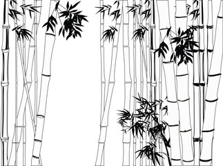 Wall Mural - bamboo outlines thick stems on white