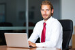 © Minerva Studio - Businessman working on laptop in office